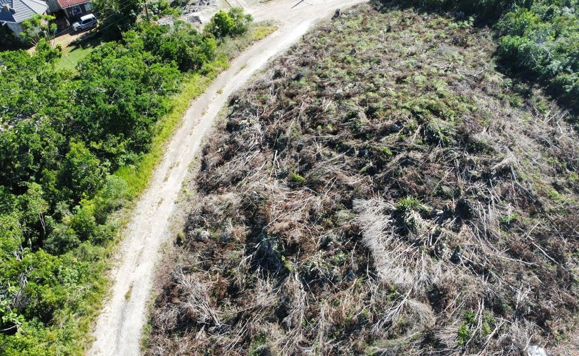 Tenth image of Kingsland And Cheveley in Mandeville, Manchester, Jamaica - property is For Sale