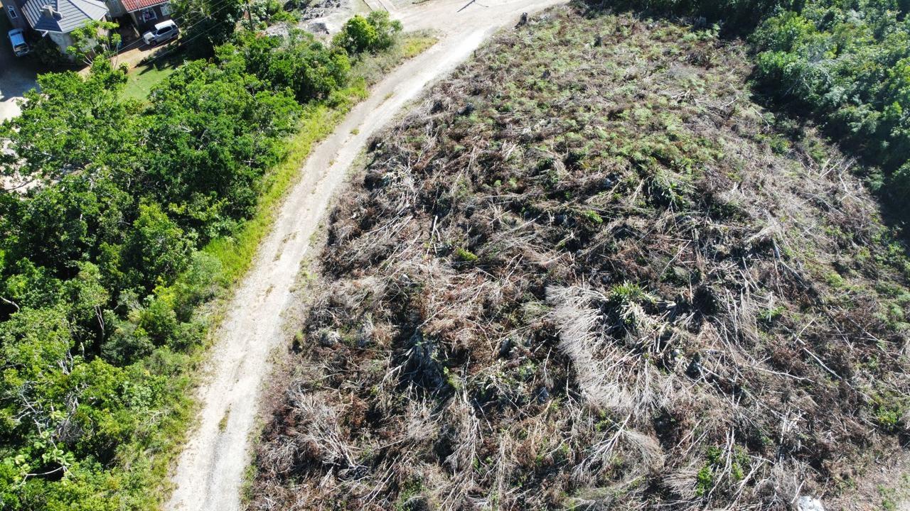 Tenth image of Kingsland And Cheveley in Mandeville, Manchester, Jamaica - property is For Sale