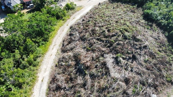 Tenth image of Kingsland And Cheveley in Mandeville, Manchester, Jamaica - property is For Sale