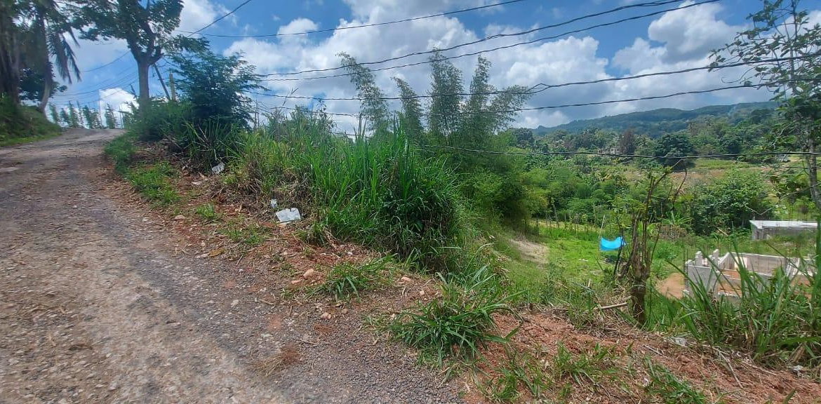 Second image of 278 Leicesterfield, Clarendon in Frankfield, Clarendon, Jamaica - property is For Sale