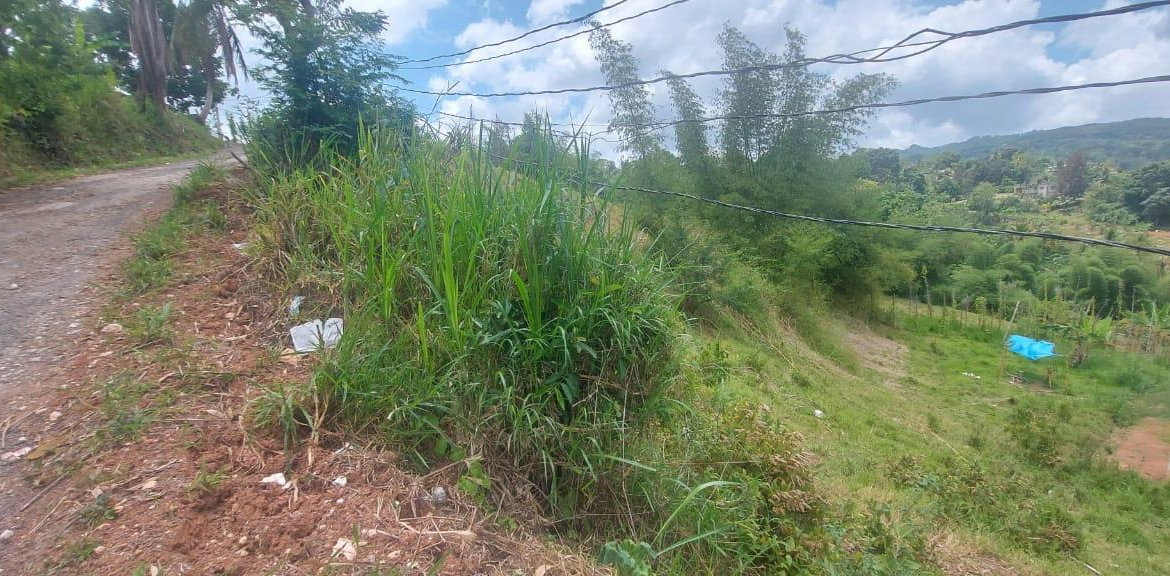 Fifth image of 278 Leicesterfield, Clarendon in Frankfield, Clarendon, Jamaica - property is For Sale