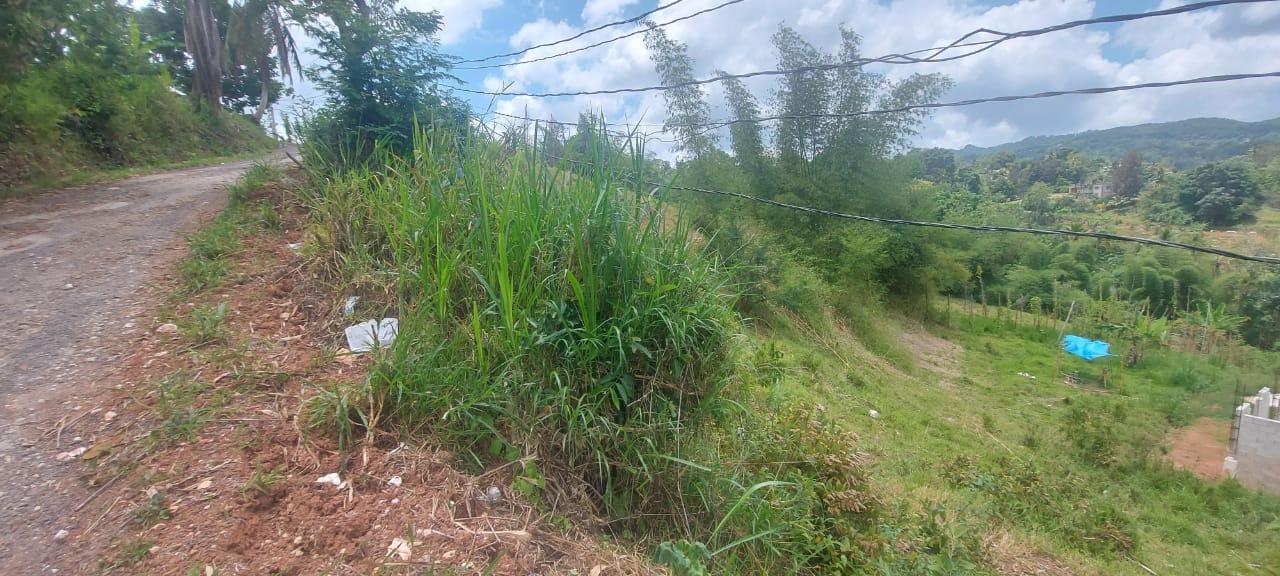 Fifth image of 278 Leicesterfield, Clarendon in Frankfield, Clarendon, Jamaica - property is For Sale