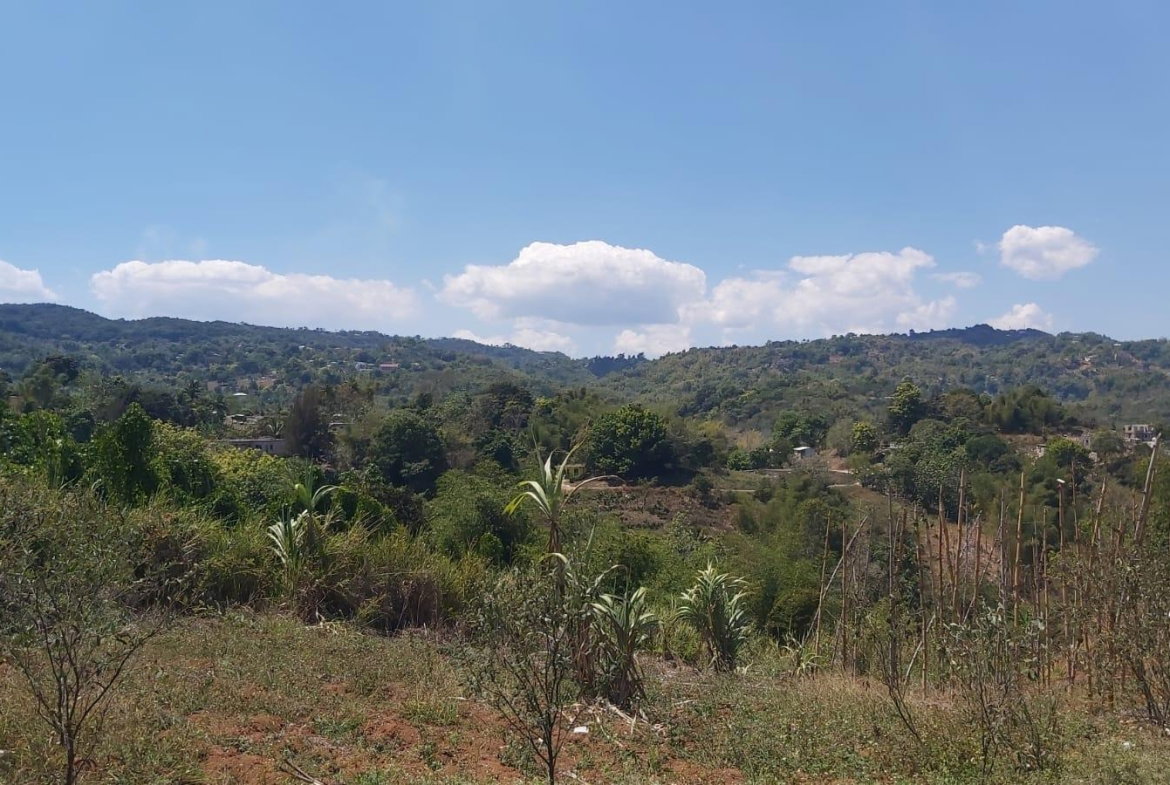 Seventh image of 278 Leicesterfield, Clarendon in Frankfield, Clarendon, Jamaica - property is For Sale