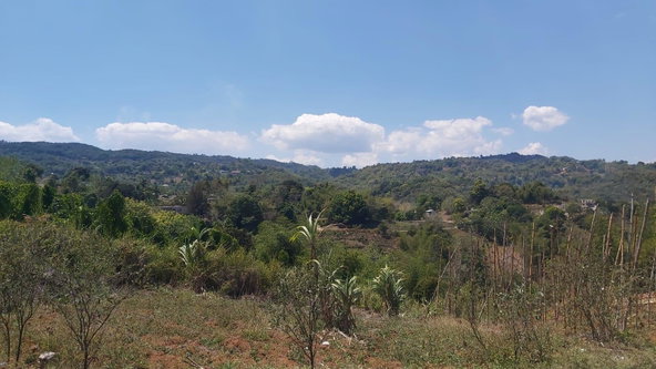 Seventh image of 278 Leicesterfield, Clarendon in Frankfield, Clarendon, Jamaica - property is For Sale