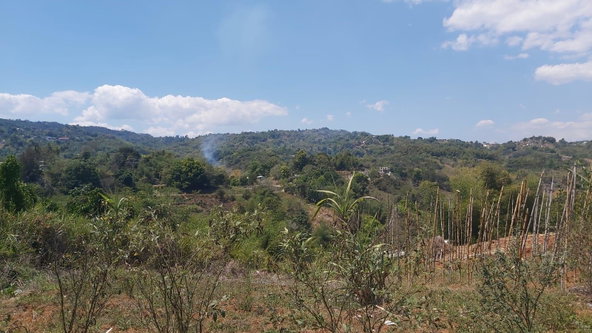 Ninth image of 278 Leicesterfield, Clarendon in Frankfield, Clarendon, Jamaica - property is For Sale