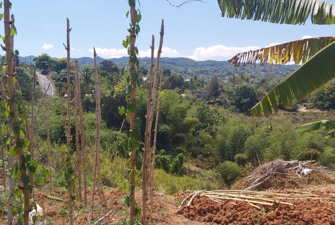 Tenth image of 278 Leicesterfield, Clarendon in Frankfield, Clarendon, Jamaica - property is For Sale