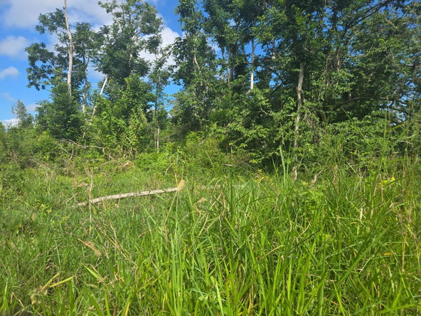 Second image of Knowles Road in Mandeville, Manchester, Jamaica - property is For Sale