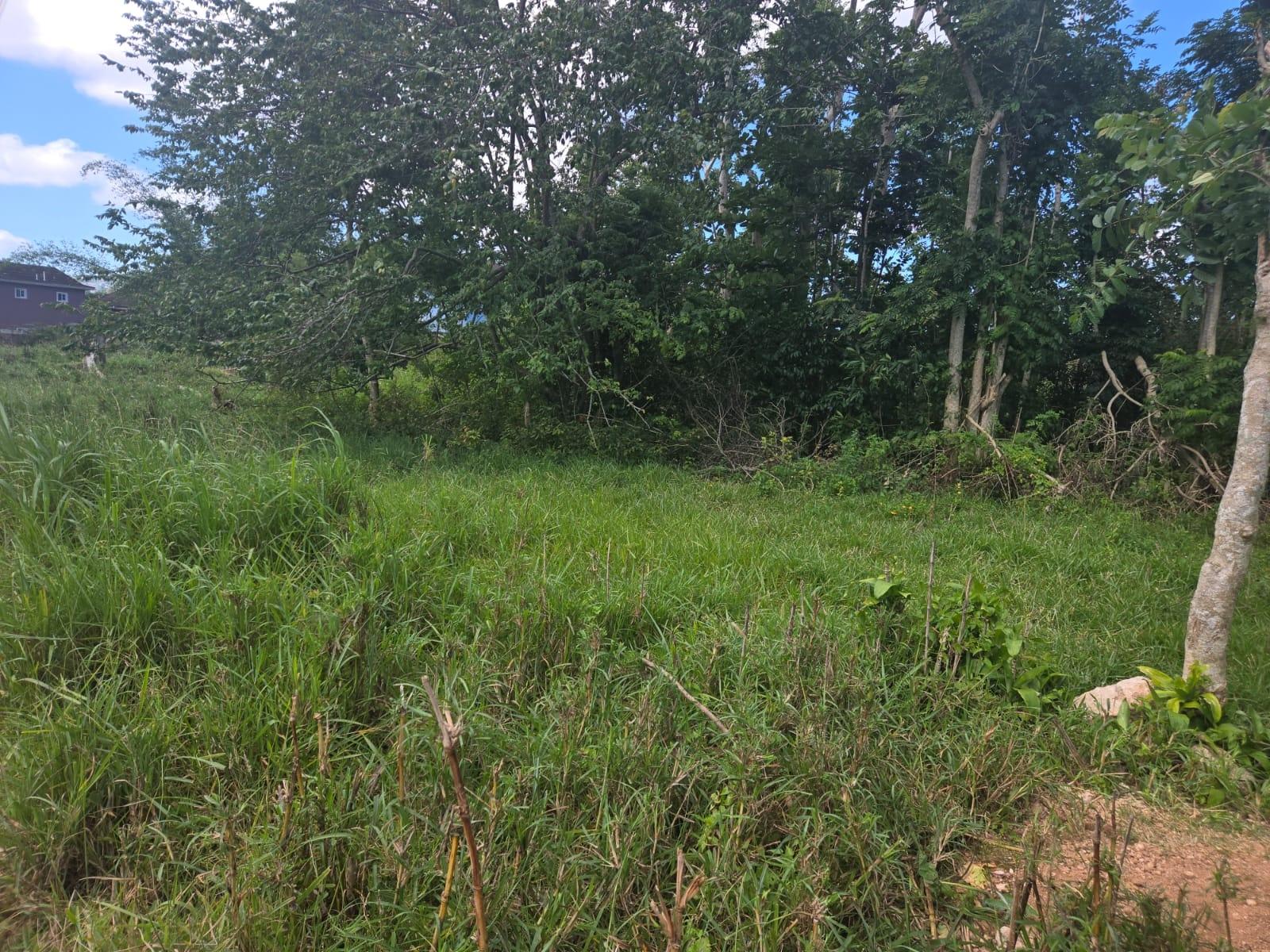 Third image of Knowles Road in Mandeville, Manchester, Jamaica - property is For Sale