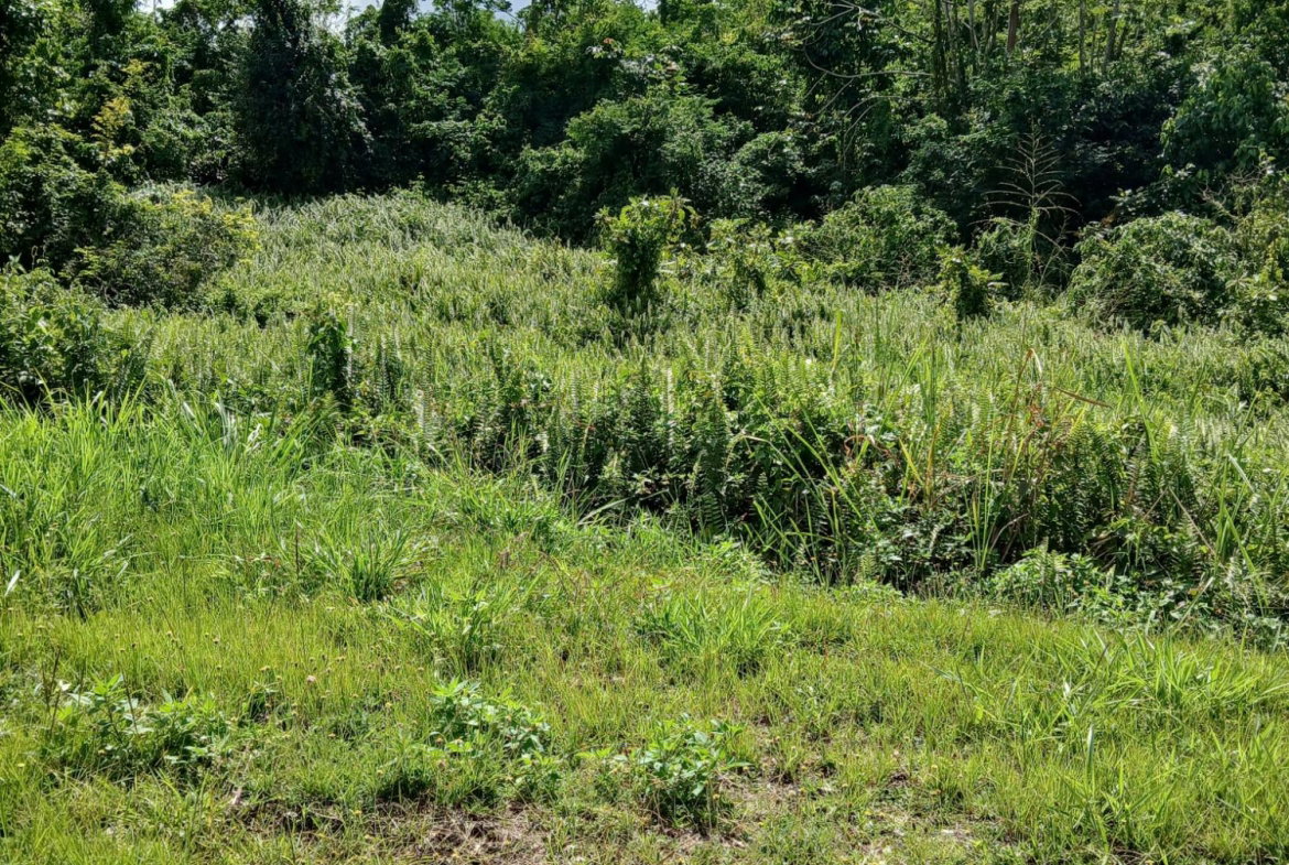 Second image of 48 Kilmarnock Way in Mandeville, Manchester, Jamaica - property is For Sale