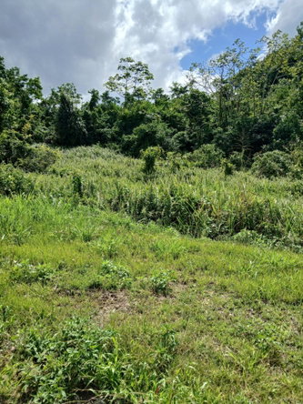 Second image of 48 Kilmarnock Way in Mandeville, Manchester, Jamaica - property is For Sale