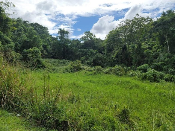 First image of 48 Kilmarnock Way in Mandeville, Manchester, Jamaica - property is For Sale