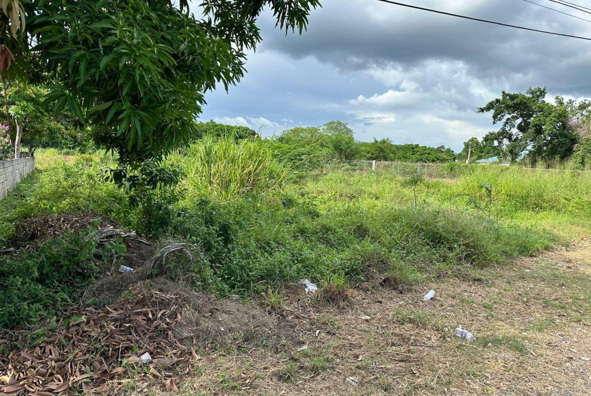 Twelfth image of 13 Ebony Grove, Swansea in Four Paths, Clarendon, Jamaica - property is For Sale