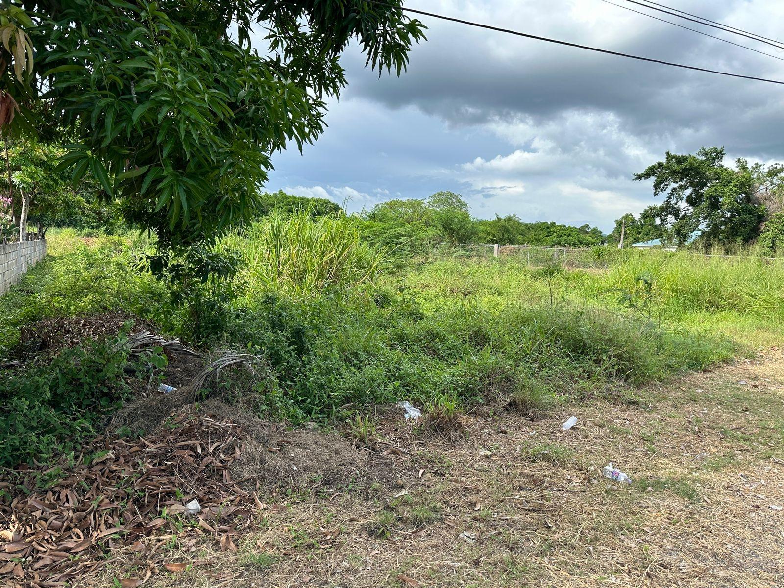 Residential-Lot-for-Sale-in-Swansea-Clarendon-–-Build-Your-Dream-Home Twelfth image of 13 Ebony Grove, Swansea in Four Paths, Clarendon, Jamaica - property is For Sale