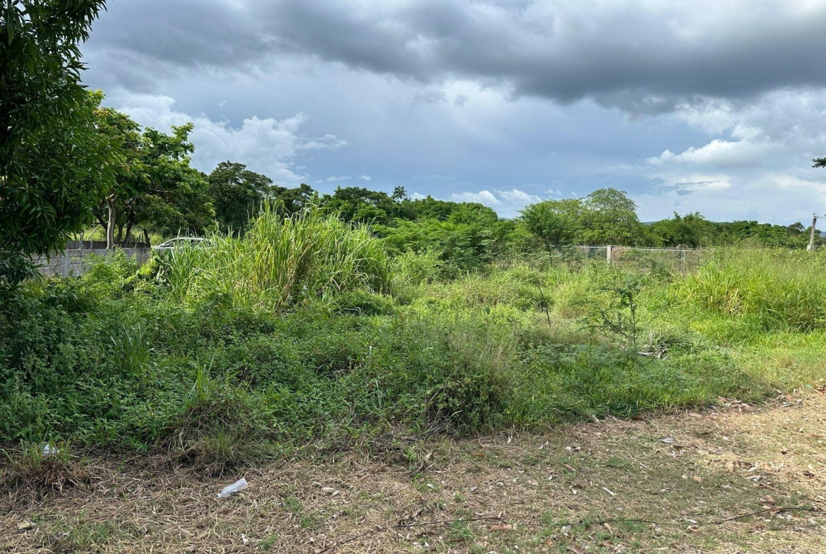 Thirteenth image of 13 Ebony Grove, Swansea in Four Paths, Clarendon, Jamaica - property is For Sale