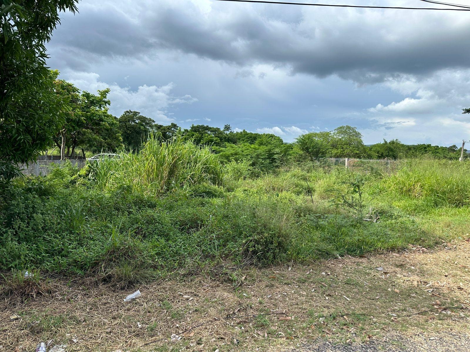 Residential-Lot-for-Sale-in-Swansea-Clarendon-–-Build-Your-Dream-Home Thirteenth image of 13 Ebony Grove, Swansea in Four Paths, Clarendon, Jamaica - property is For Sale