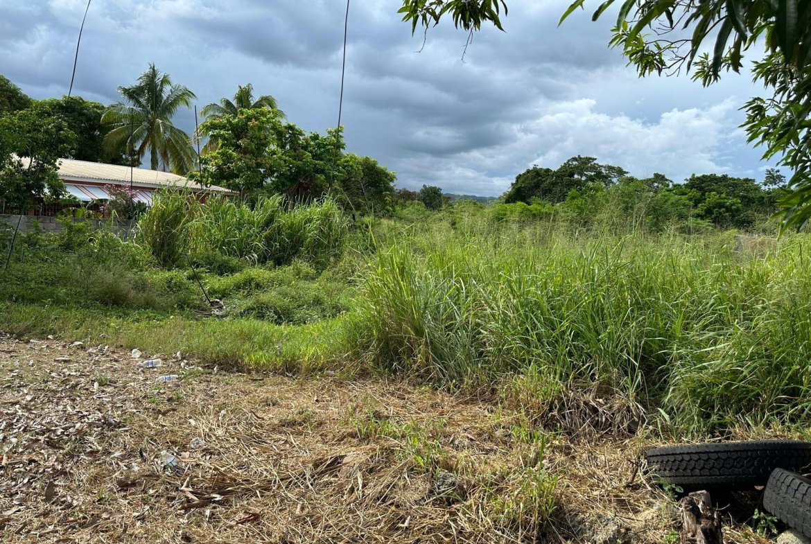 Fifth image of 13 Ebony Grove, Swansea in Four Paths, Clarendon, Jamaica - property is For Sale