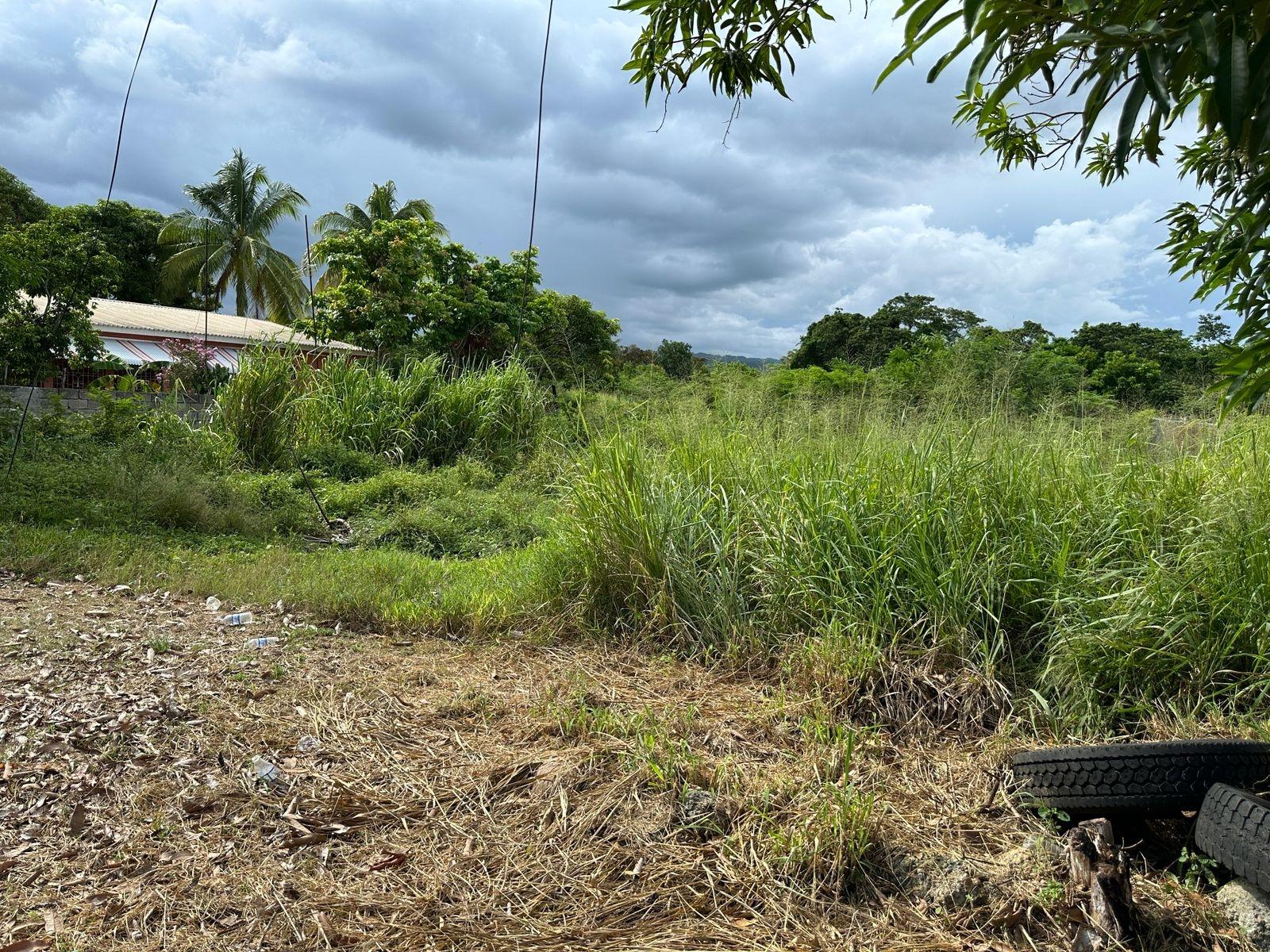 Residential-Lot-for-Sale-in-Swansea-Clarendon-–-Build-Your-Dream-Home Fifth image of 13 Ebony Grove, Swansea in Four Paths, Clarendon, Jamaica - property is For Sale