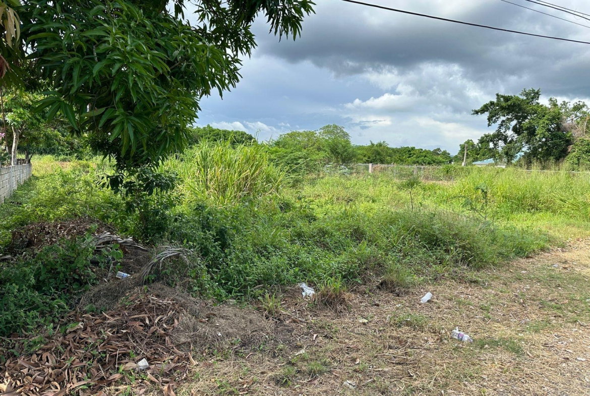 Sixth image of 13 Ebony Grove, Swansea in Four Paths, Clarendon, Jamaica - property is For Sale