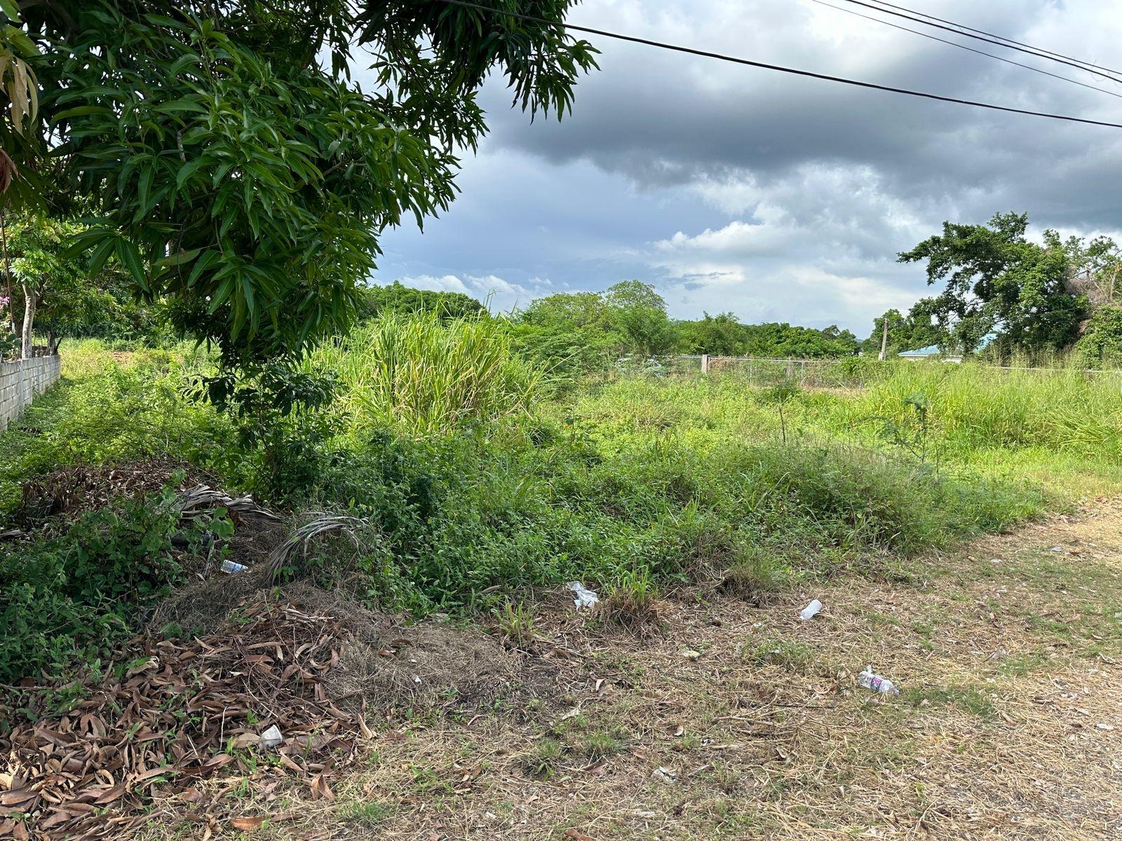 Residential-Lot-for-Sale-in-Swansea-Clarendon-–-Build-Your-Dream-Home Sixth image of 13 Ebony Grove, Swansea in Four Paths, Clarendon, Jamaica - property is For Sale