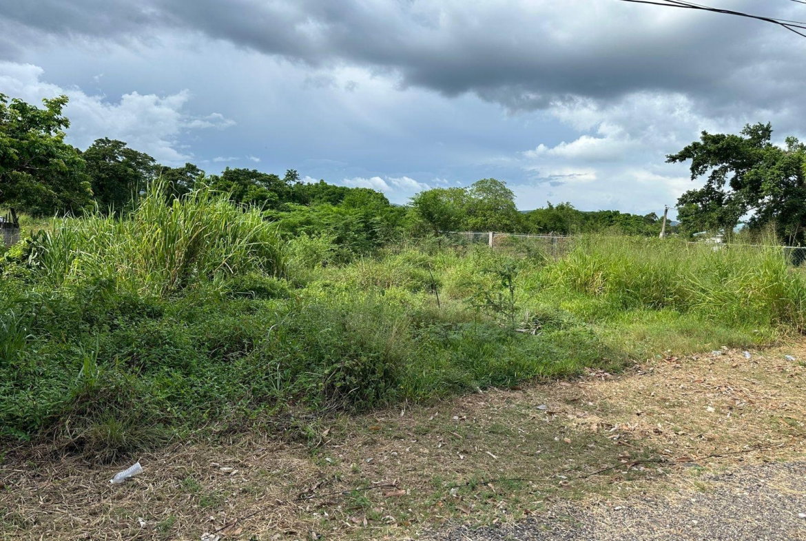 Ninth image of 13 Ebony Grove, Swansea in Four Paths, Clarendon, Jamaica - property is For Sale