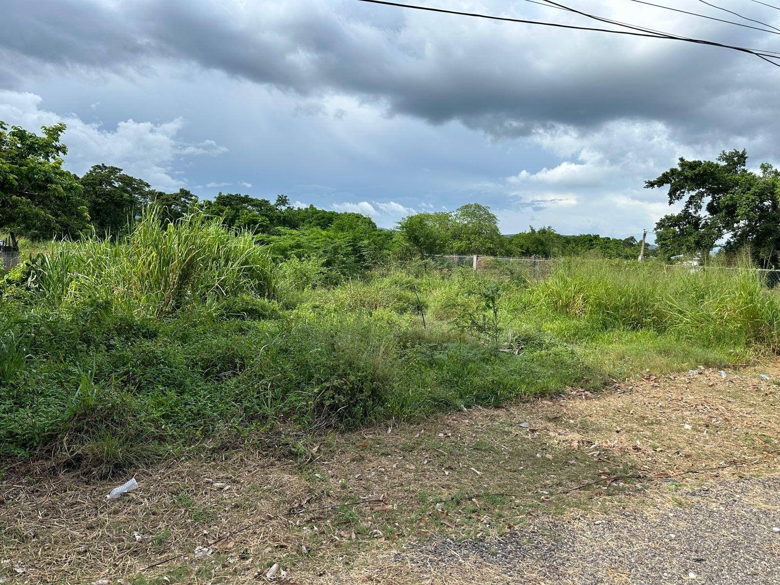 Residential-Lot-for-Sale-in-Swansea-Clarendon-–-Build-Your-Dream-Home Ninth image of 13 Ebony Grove, Swansea in Four Paths, Clarendon, Jamaica - property is For Sale