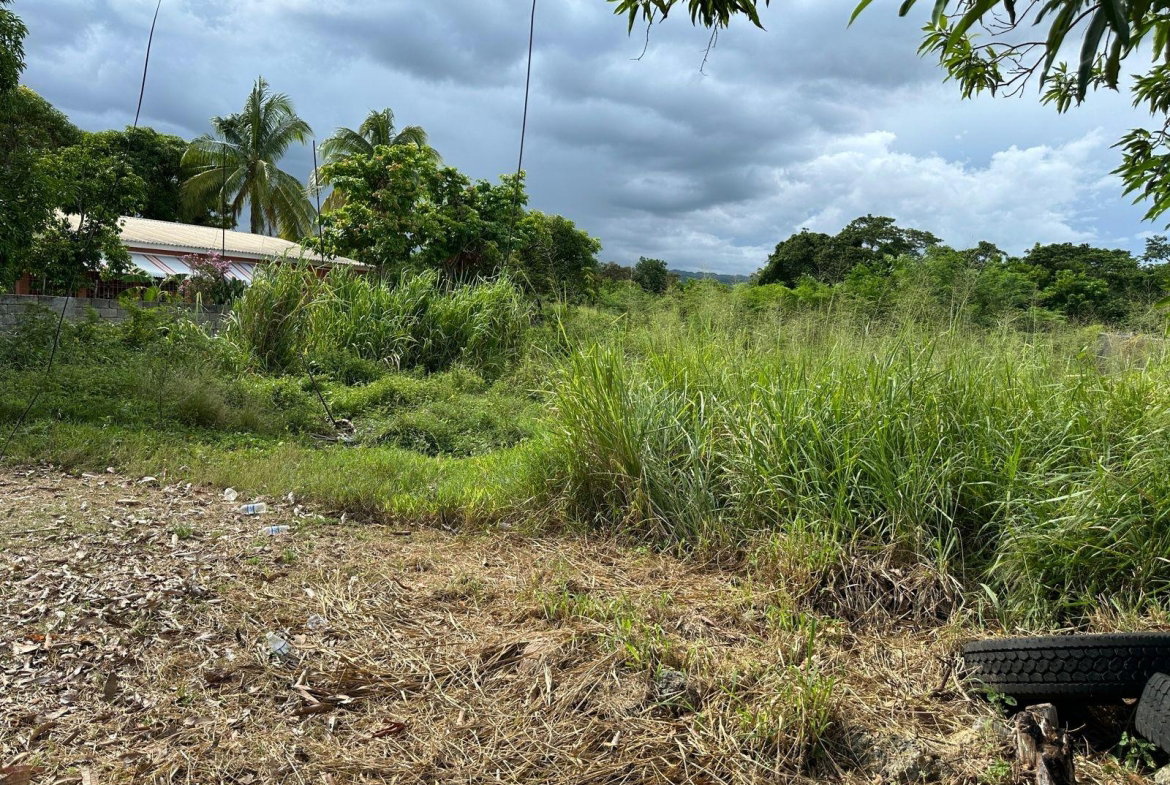 Tenth image of 13 Ebony Grove, Swansea in Four Paths, Clarendon, Jamaica - property is For Sale