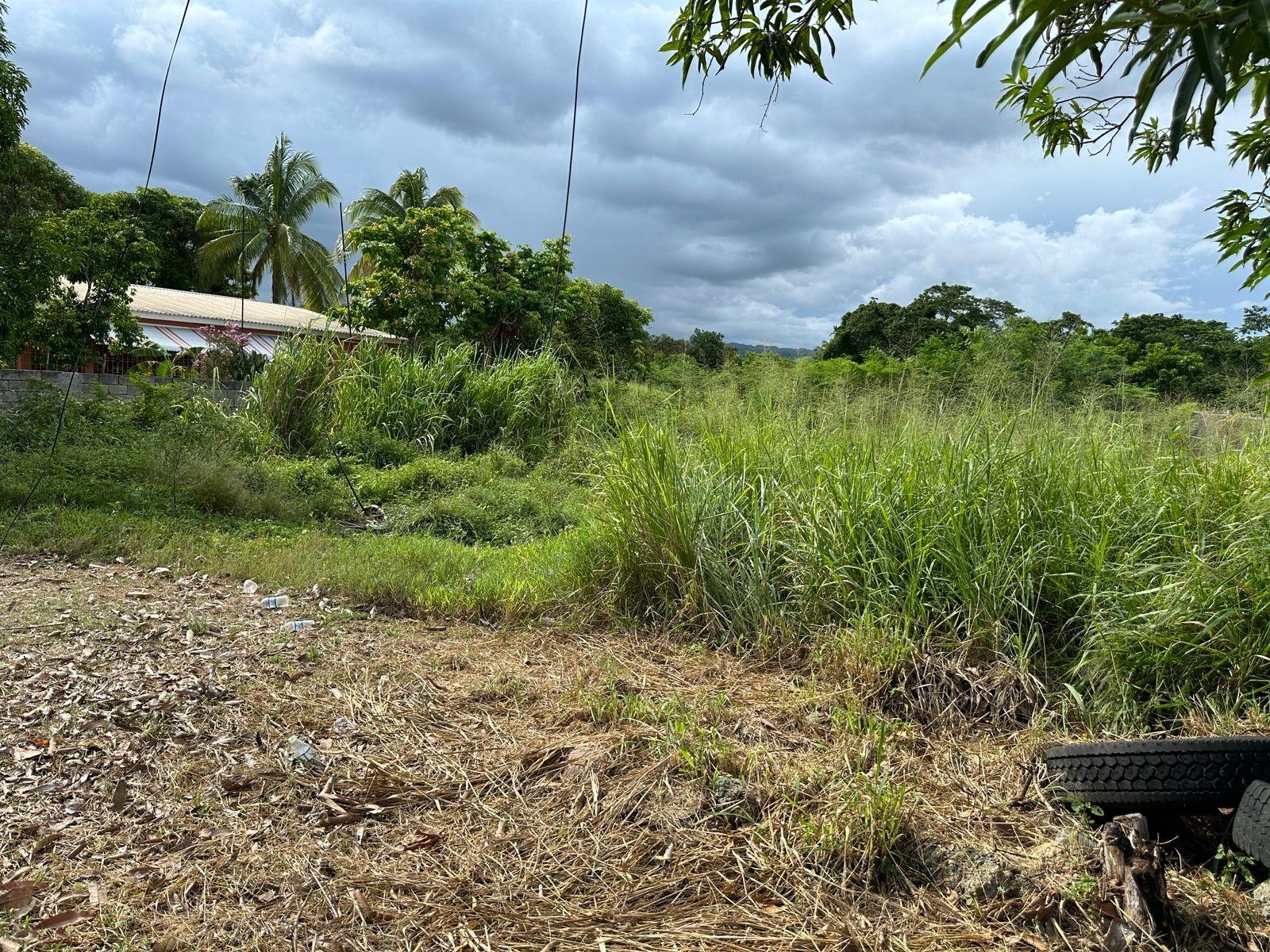 Residential-Lot-for-Sale-in-Swansea-Clarendon-–-Build-Your-Dream-Home Tenth image of 13 Ebony Grove, Swansea in Four Paths, Clarendon, Jamaica - property is For Sale