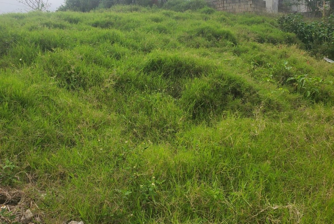 Twelfth image of Land Part of Ticky Ticky, in Coleyville, Manchester, Jamaica - property is For Sale