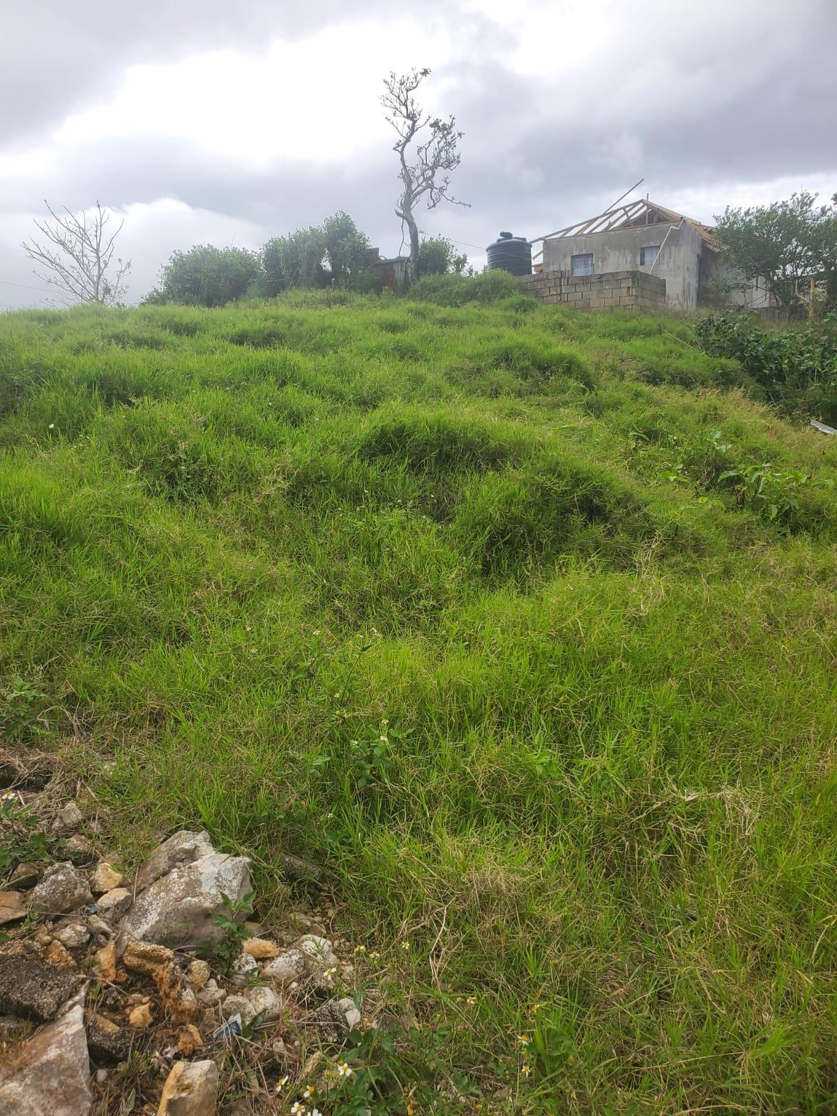 Twelfth image of Land Part of Ticky Ticky, in Coleyville, Manchester, Jamaica - property is For Sale