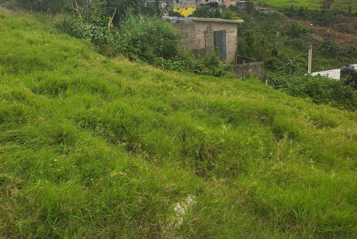 Fifteenth image of Land Part of Ticky Ticky, in Coleyville, Manchester, Jamaica - property is For Sale