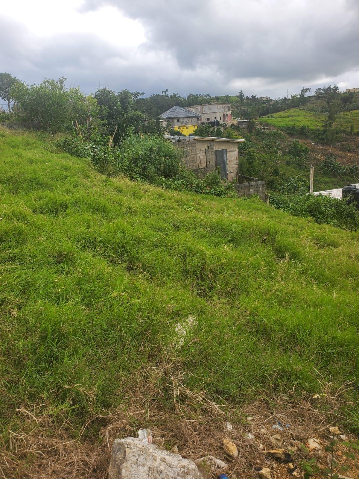 Fifteenth image of Land Part of Ticky Ticky, in Coleyville, Manchester, Jamaica - property is For Sale
