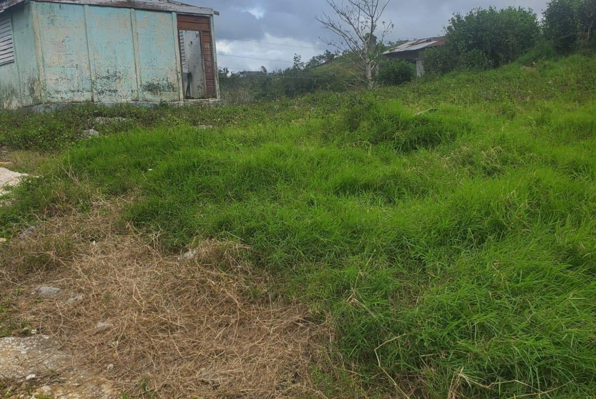 Seventh image of Land Part of Ticky Ticky, in Coleyville, Manchester, Jamaica - property is For Sale