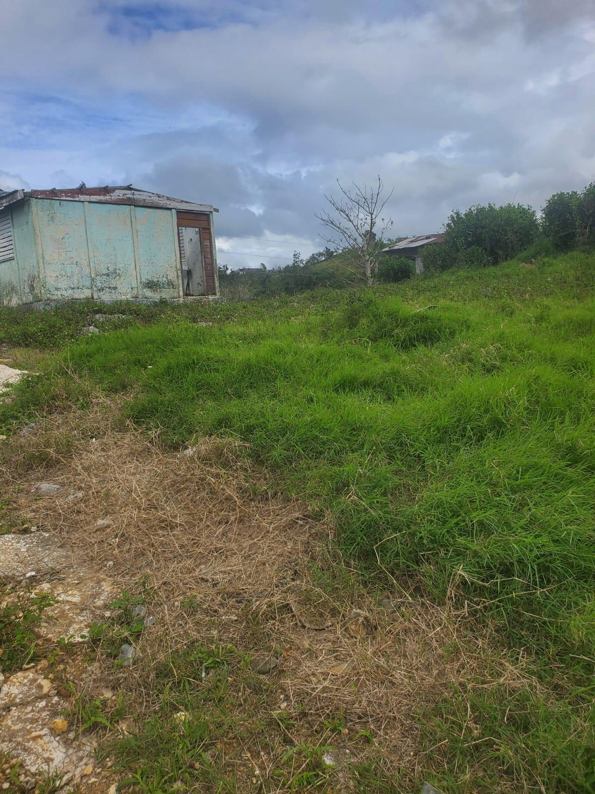 Seventh image of Land Part of Ticky Ticky, in Coleyville, Manchester, Jamaica - property is For Sale