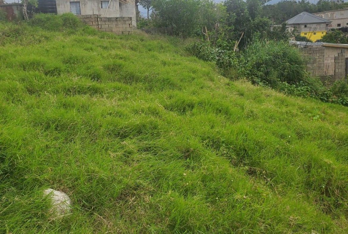 Eighth image of Land Part of Ticky Ticky, in Coleyville, Manchester, Jamaica - property is For Sale