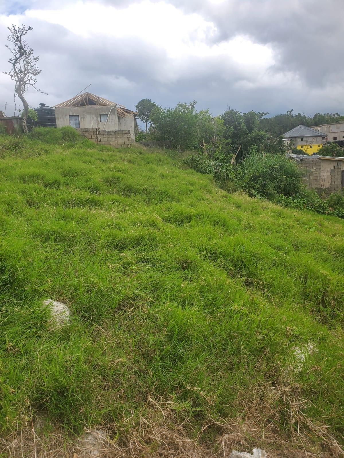 Eighth image of Land Part of Ticky Ticky, in Coleyville, Manchester, Jamaica - property is For Sale