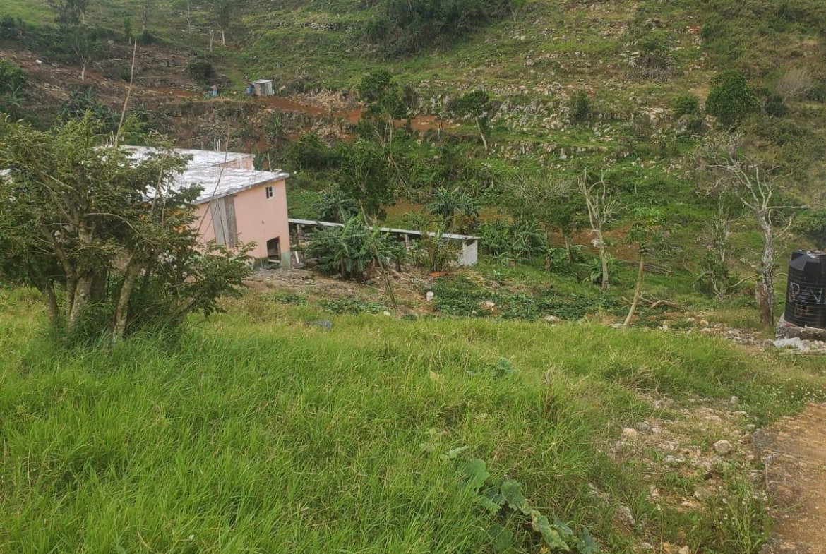 Ninth image of Land Part of Ticky Ticky, in Coleyville, Manchester, Jamaica - property is For Sale