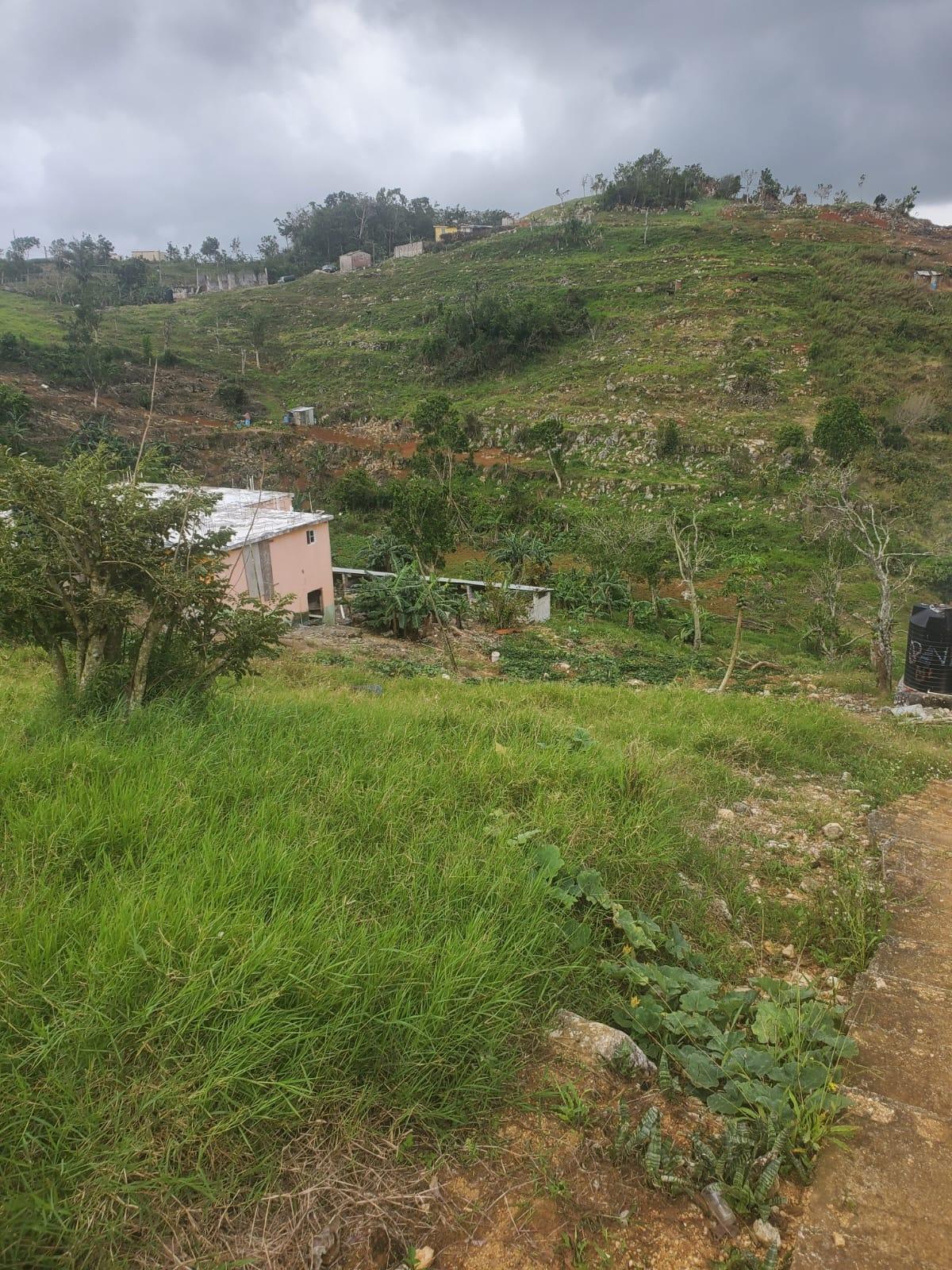 Ninth image of Land Part of Ticky Ticky, in Coleyville, Manchester, Jamaica - property is For Sale