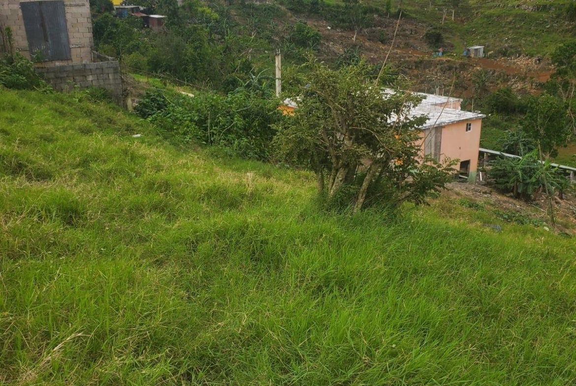 Tenth image of Land Part of Ticky Ticky, in Coleyville, Manchester, Jamaica - property is For Sale