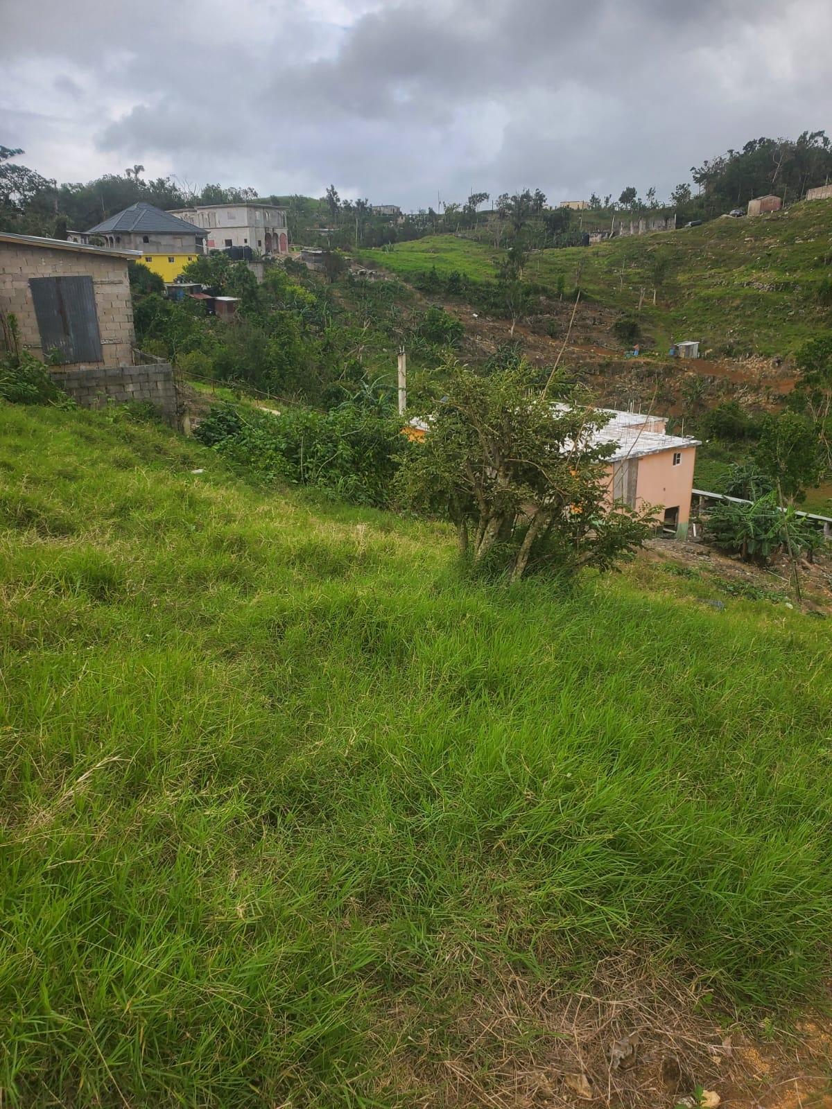 Tenth image of Land Part of Ticky Ticky, in Coleyville, Manchester, Jamaica - property is For Sale