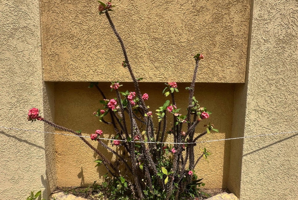 Twenty-Fifth image of 4 Acadia Drive in Kingston 8, St. Andrew, Jamaica - property is For Rent