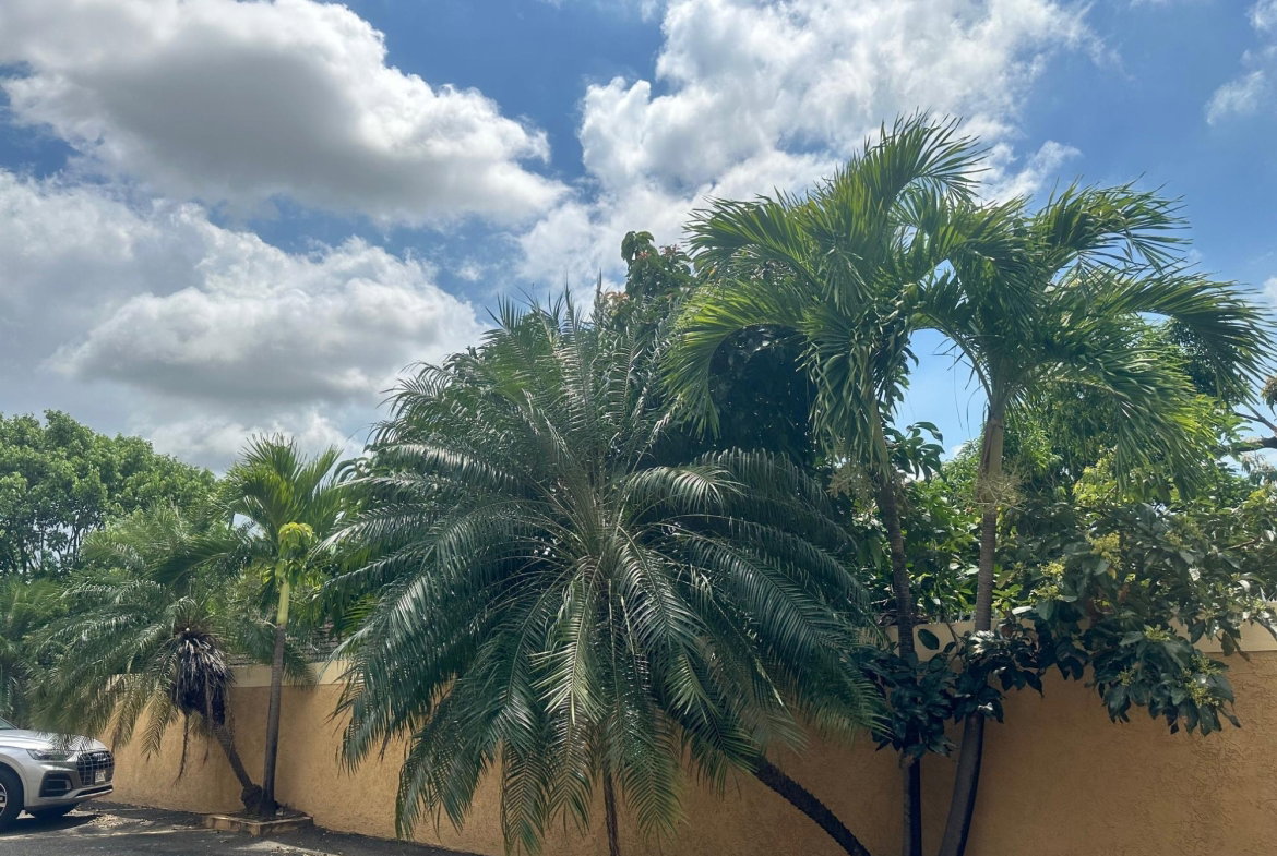 Thirtieth image of 4 Acadia Drive in Kingston 8, St. Andrew, Jamaica - property is For Rent