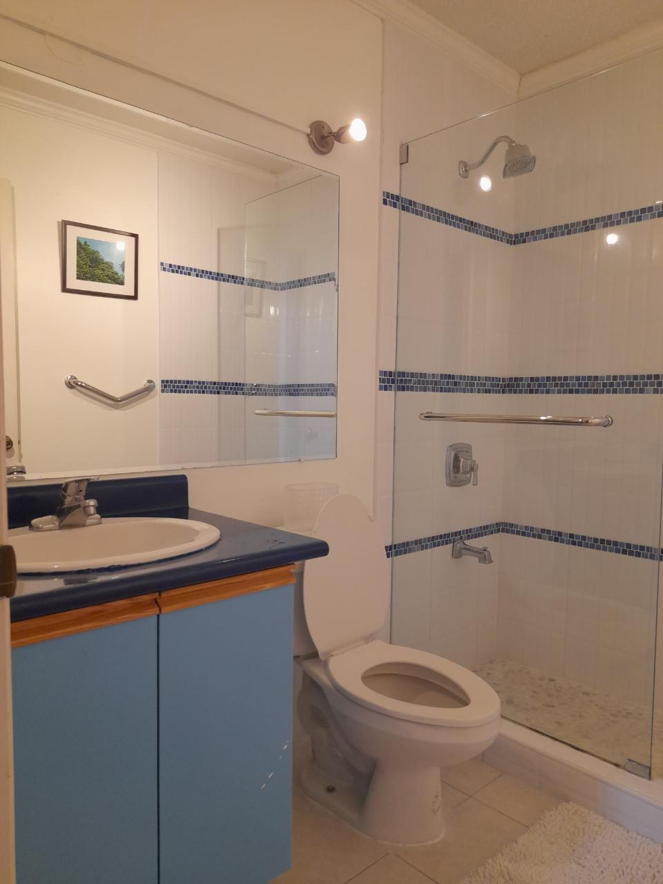 Twenty-Sixth image of 19 East Mountain Pride Avenu in Kingston 6, St. Andrew, Jamaica - property is For Rent