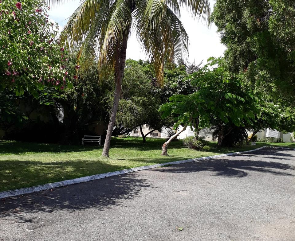 Fourth image of 20-1a Norbrook Road, Kingston in Kingston 8, St. Andrew, Jamaica - property is For Rent
