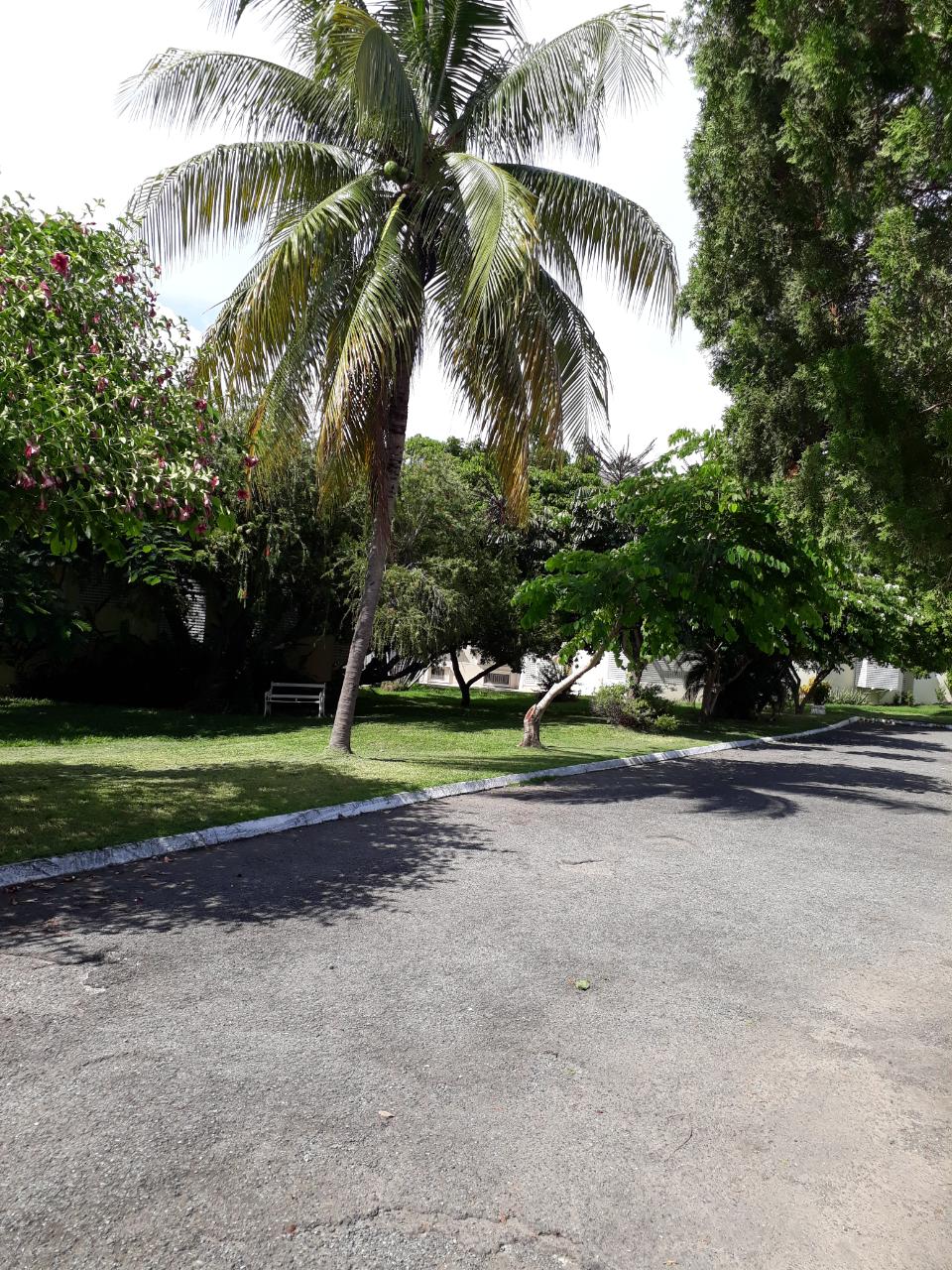 Fourth image of 20-1a Norbrook Road, Kingston in Kingston 8, St. Andrew, Jamaica - property is For Rent