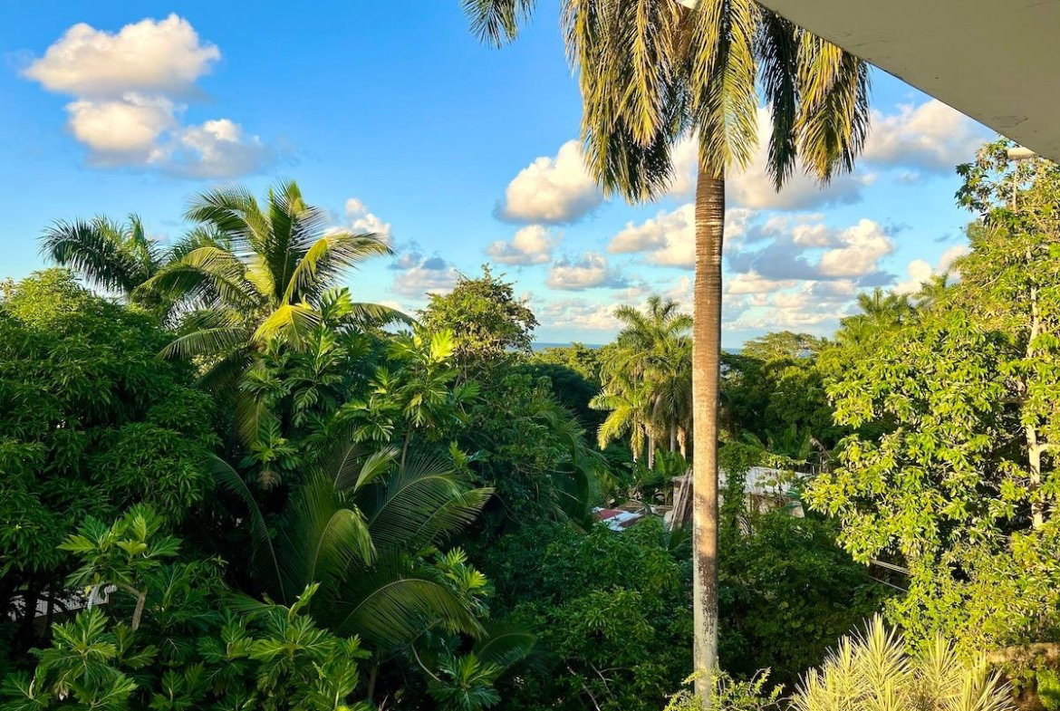 Twenty-Ninth image of 36 Nancy Way, Unity Hall in Unity Hall, St. James, Jamaica - property is For Rent