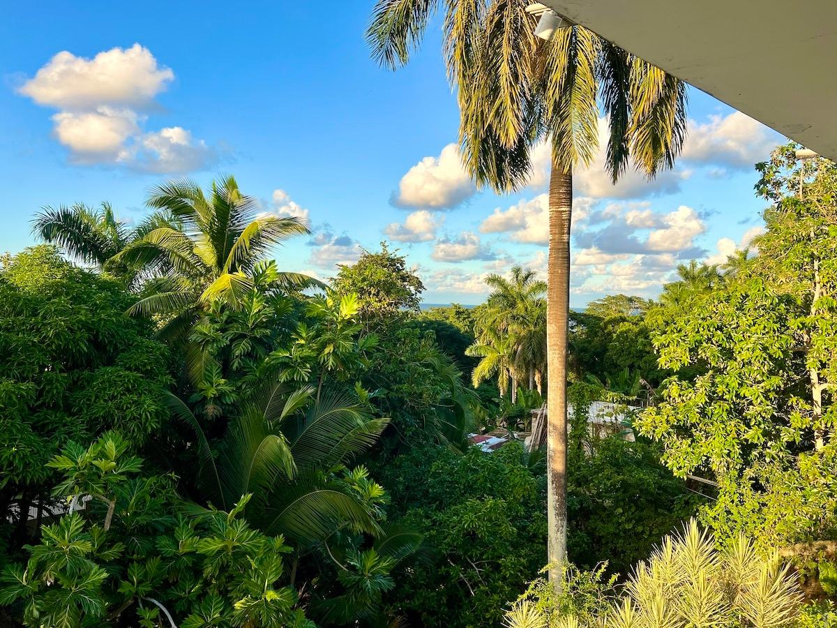 Twenty-Ninth image of 36 Nancy Way, Unity Hall in Unity Hall, St. James, Jamaica - property is For Rent