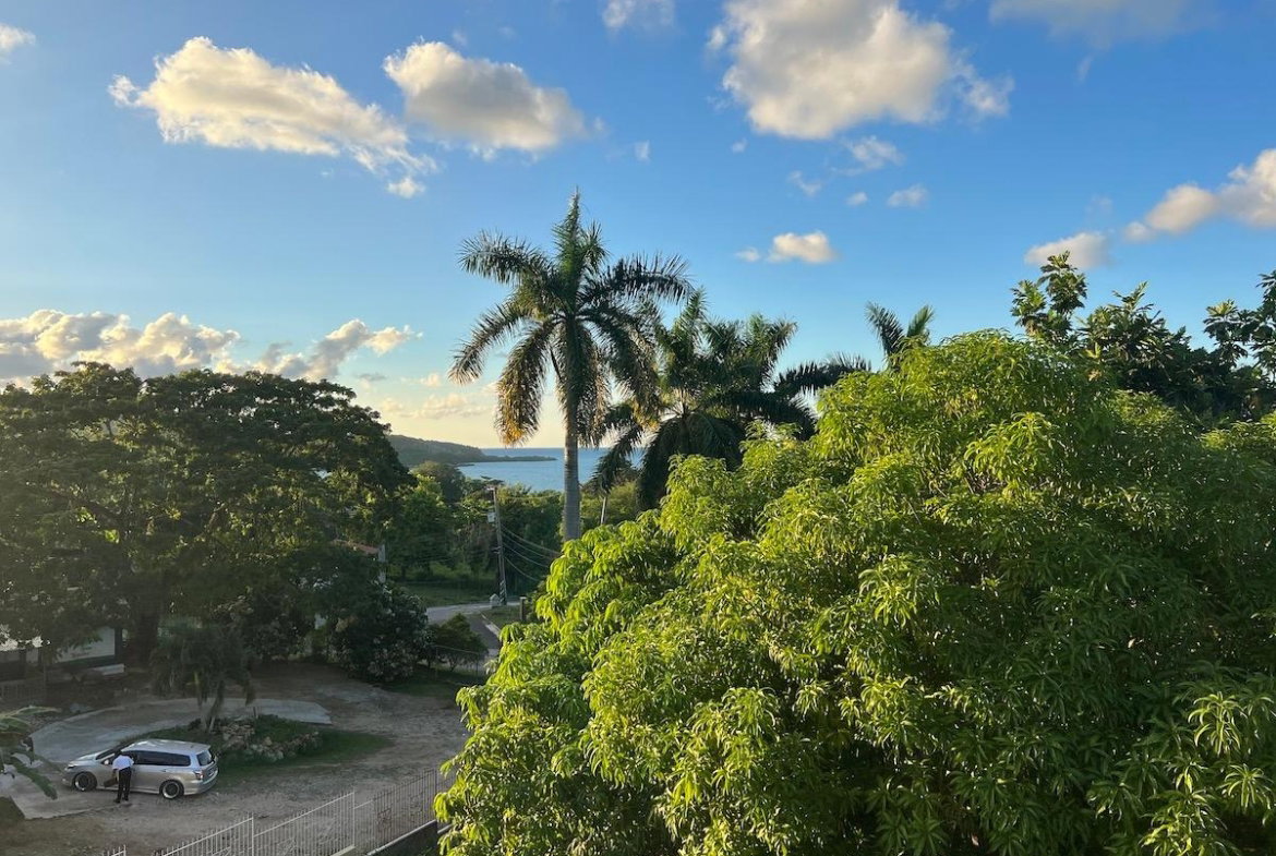 Thirtieth image of 36 Nancy Way, Unity Hall in Unity Hall, St. James, Jamaica - property is For Rent