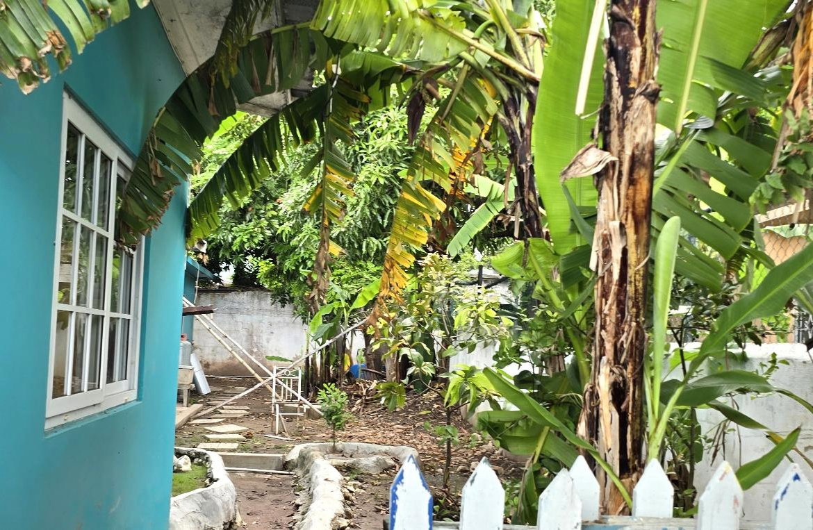 Nineteenth image of 42 Druesdale Avenue in Kingston 19, St. Andrew, Jamaica - property is For Sale