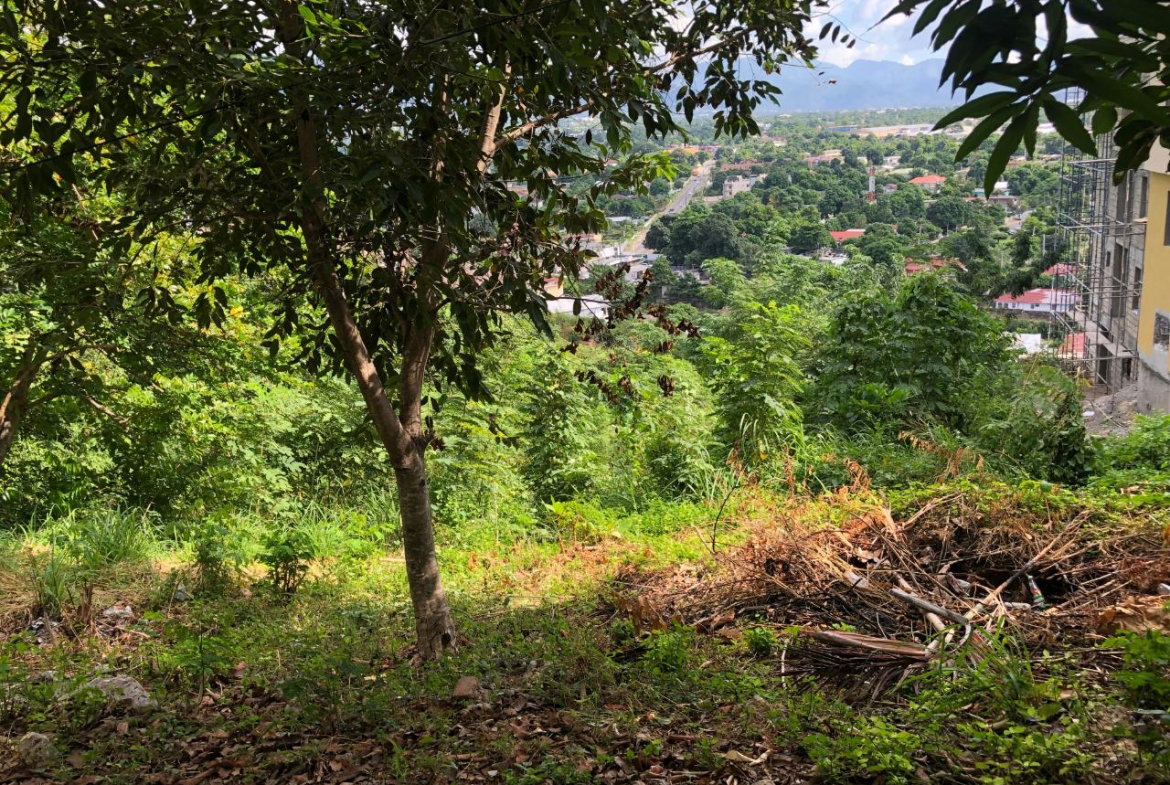 Eighth image of 27 Elmwood Terrace in Kingston 19, St. Andrew, Jamaica - property is For Sale