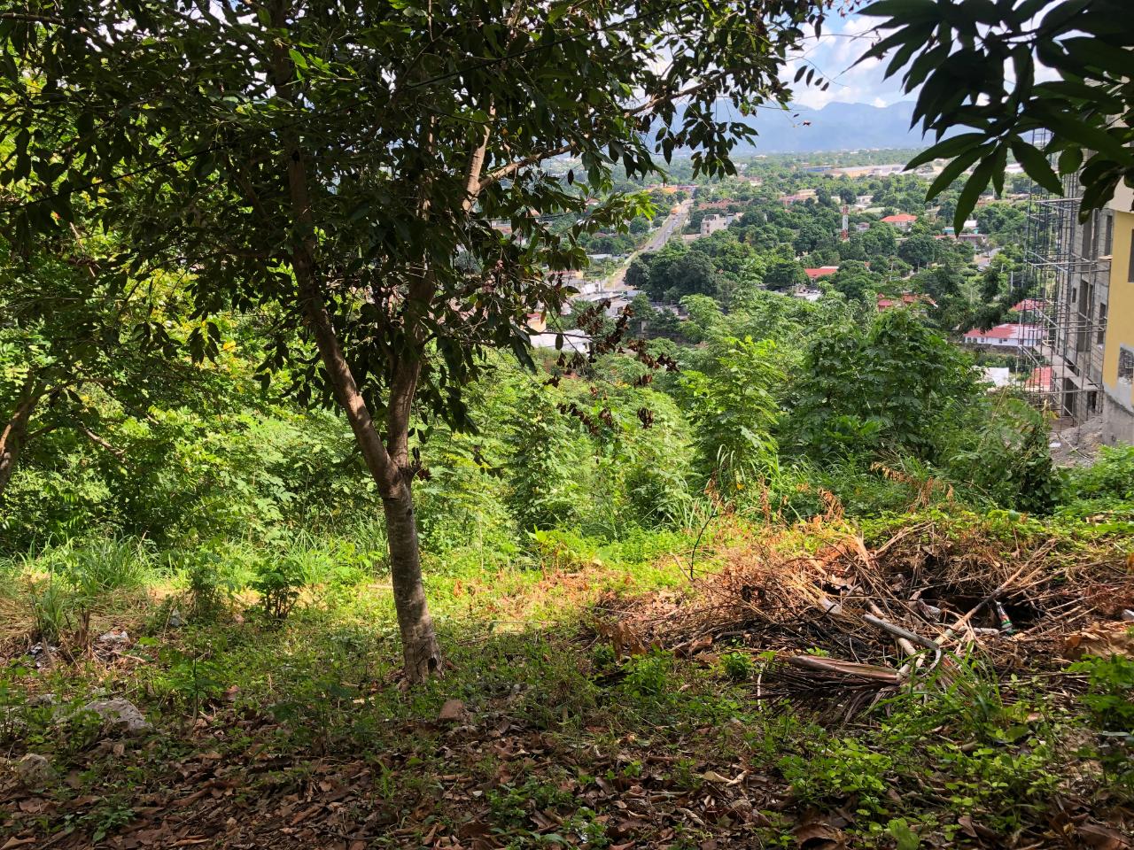 Eighth image of 27 Elmwood Terrace in Kingston 19, St. Andrew, Jamaica - property is For Sale